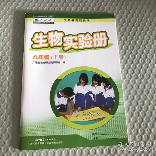 圖書購買與廣告設(shè)計(jì) 探索多多圖書旗艦店與孔夫子舊書網(wǎng)的魅力